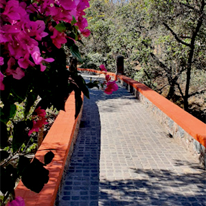 Hotel Bonito San Miguel de Allende (1)