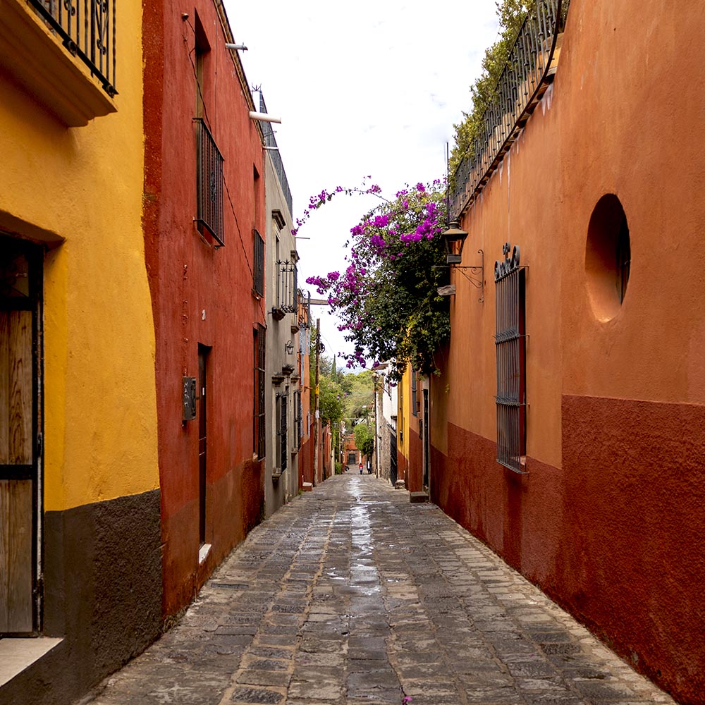 Hotel Bonito San Miguel de Allende (2)