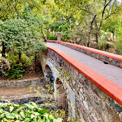 Hotel Bonito San Miguel de Allende (4)